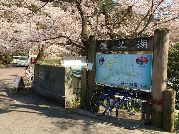 鎌北湖の桜と阿諏訪地区の桜 花見は人が少ない方が好き シルバーリング 鎌北湖の桜と阿諏訪地区の桜 花見は人が少ない方が好き シルバーリング
