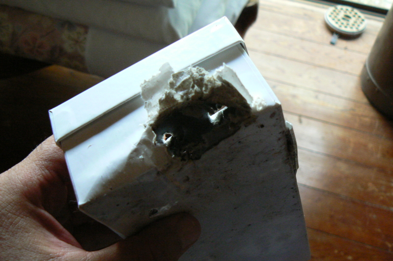 f:id:ginrinking:20110813092509j:image