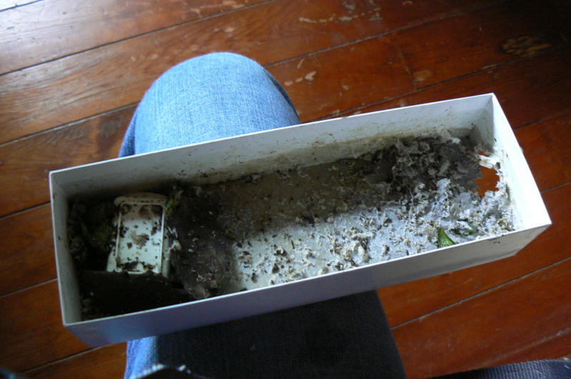 f:id:ginrinking:20110813092520j:image