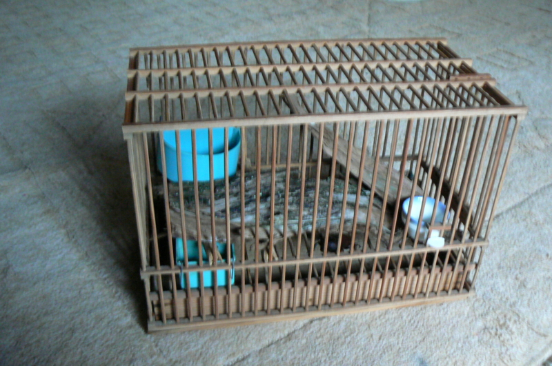 f:id:ginrinking:20110813172329j:image