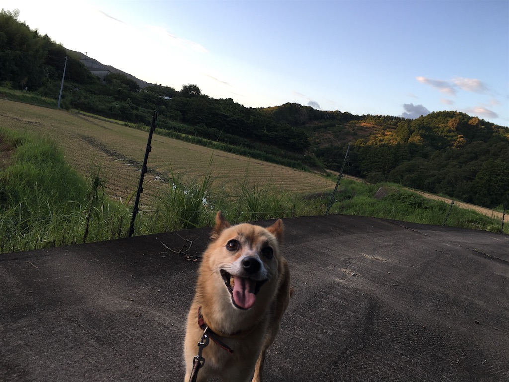f:id:gintard5:20240809010724j:image