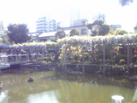 f:id:ginto:20100502155923j:image