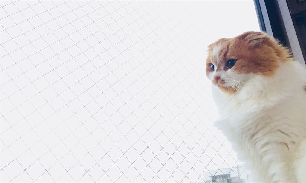 f:id:gintomochi:20171207224035j:plain