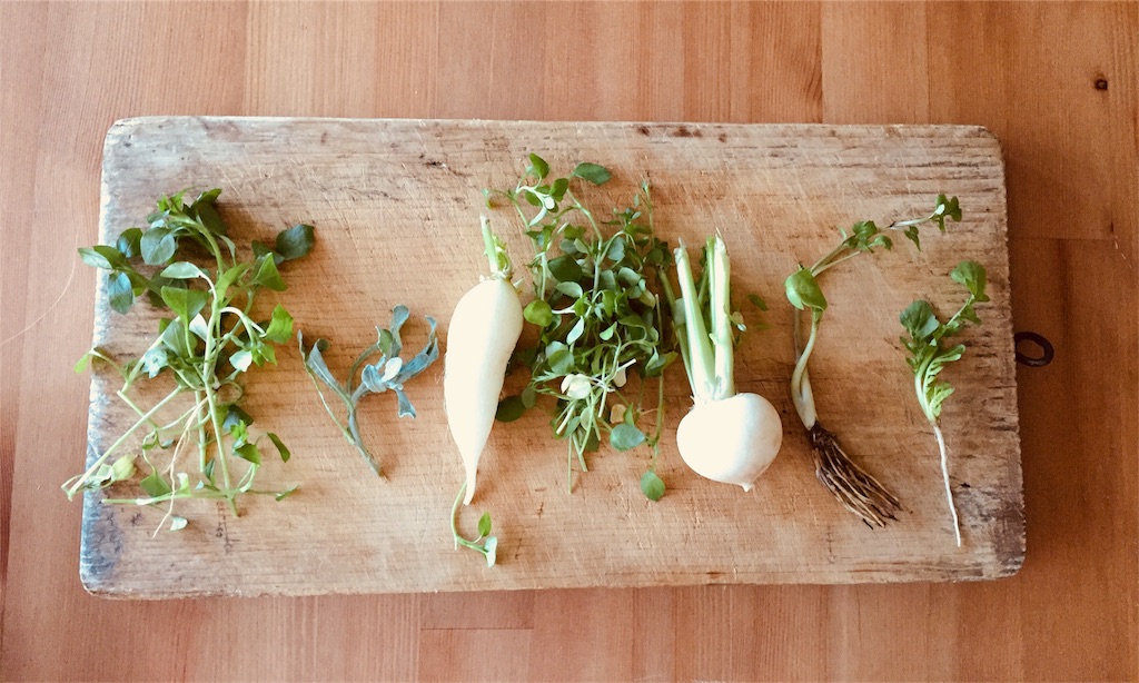 f:id:gintomochi:20180107091408j:plain