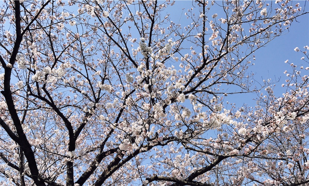 f:id:gintomochi:20180328070241j:plain