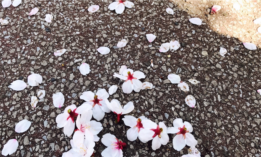 f:id:gintomochi:20180331204113j:plain