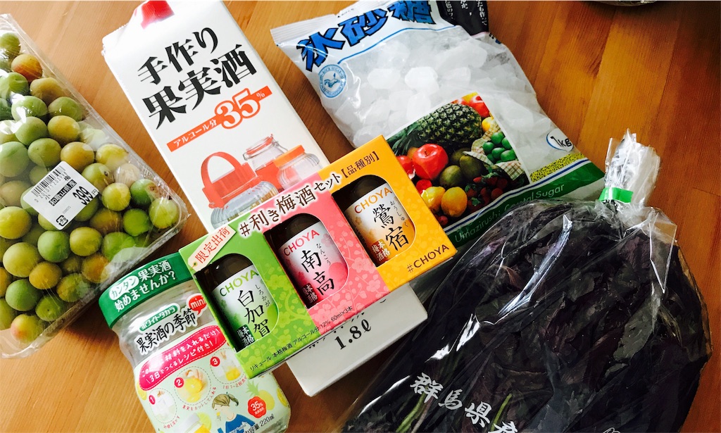 f:id:gintomochi:20180527152256j:plain