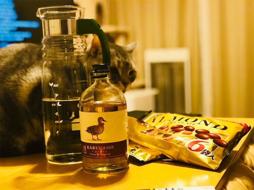 f:id:gintomochi:20190104201530j:plain