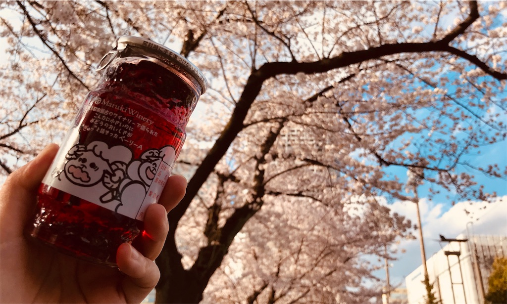f:id:gintomochi:20190401224541j:plain f:id:gintomochi:20190401224541j:plain