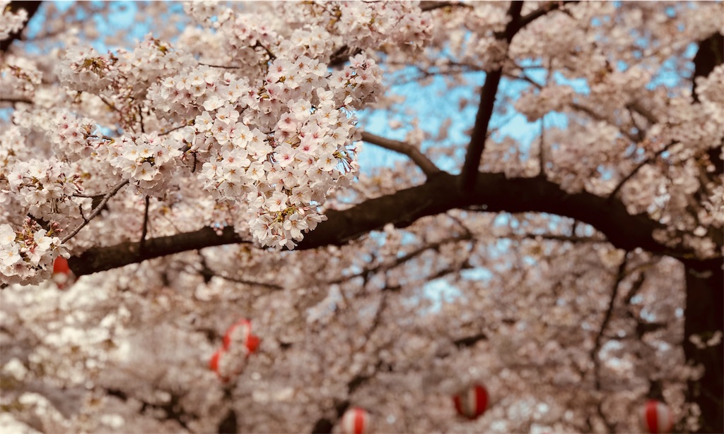 f:id:gintomochi:20190401224550j:plain