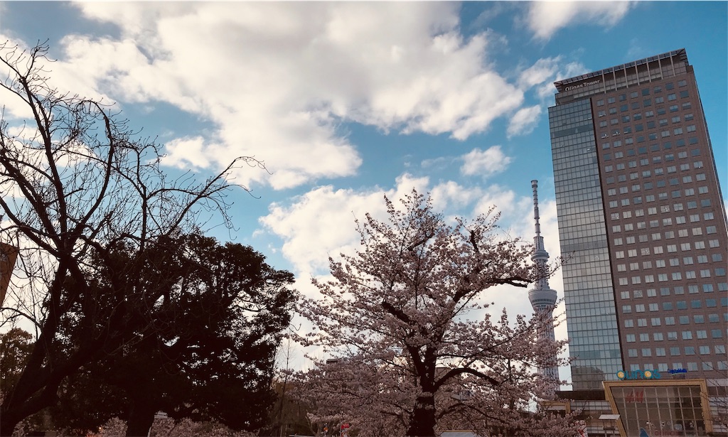 f:id:gintomochi:20190401224602j:plain