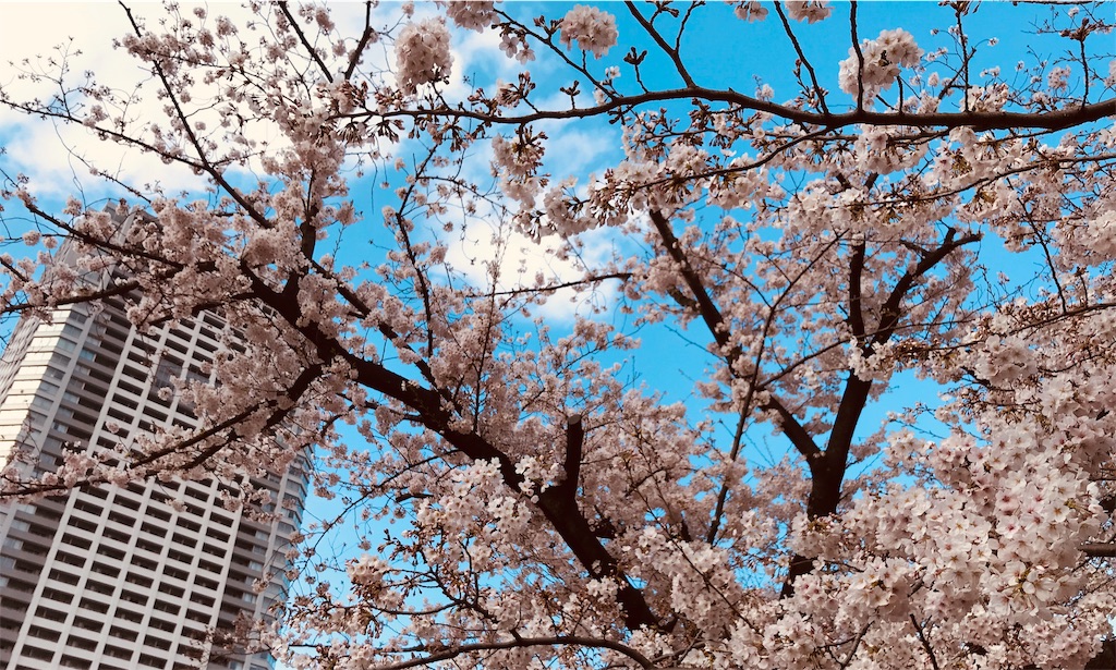 f:id:gintomochi:20190401224606j:plain