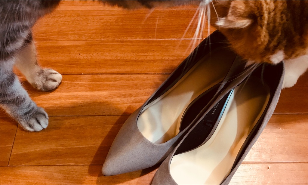 f:id:gintomochi:20191113070649j:plain