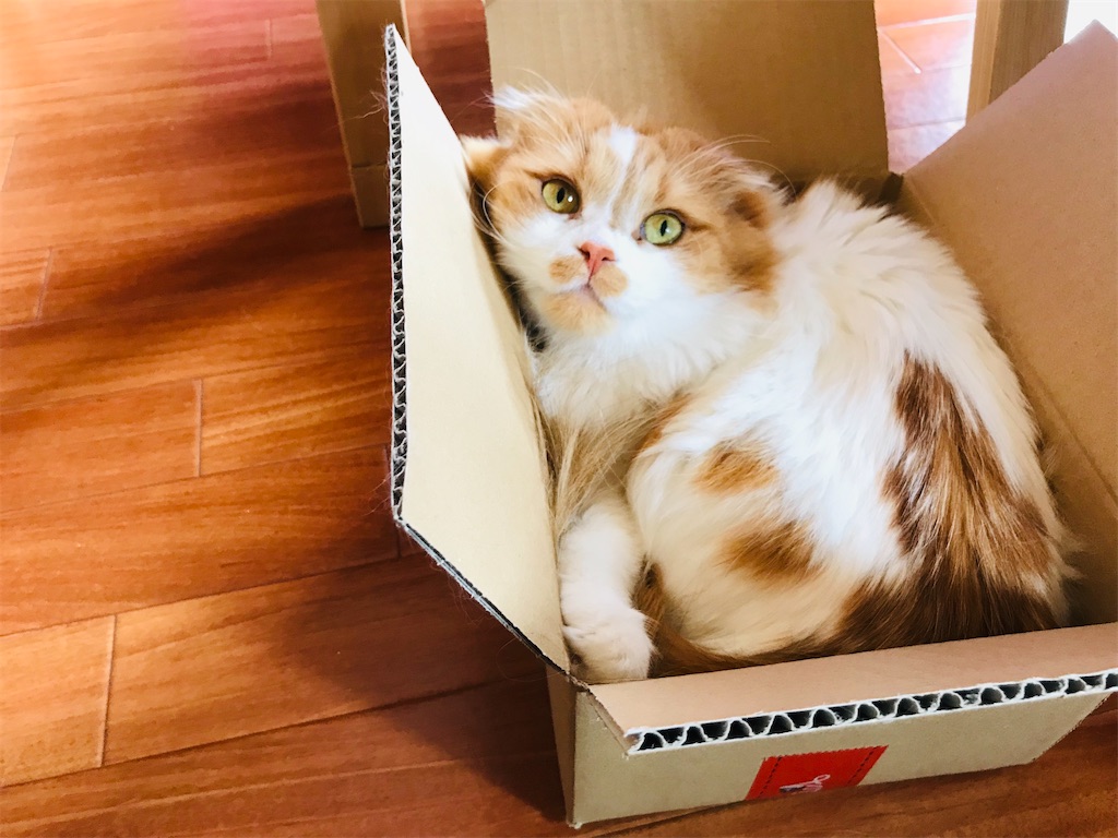 f:id:gintomochi:20191229105858j:plain f:id:gintomochi:20191229105858j:plain