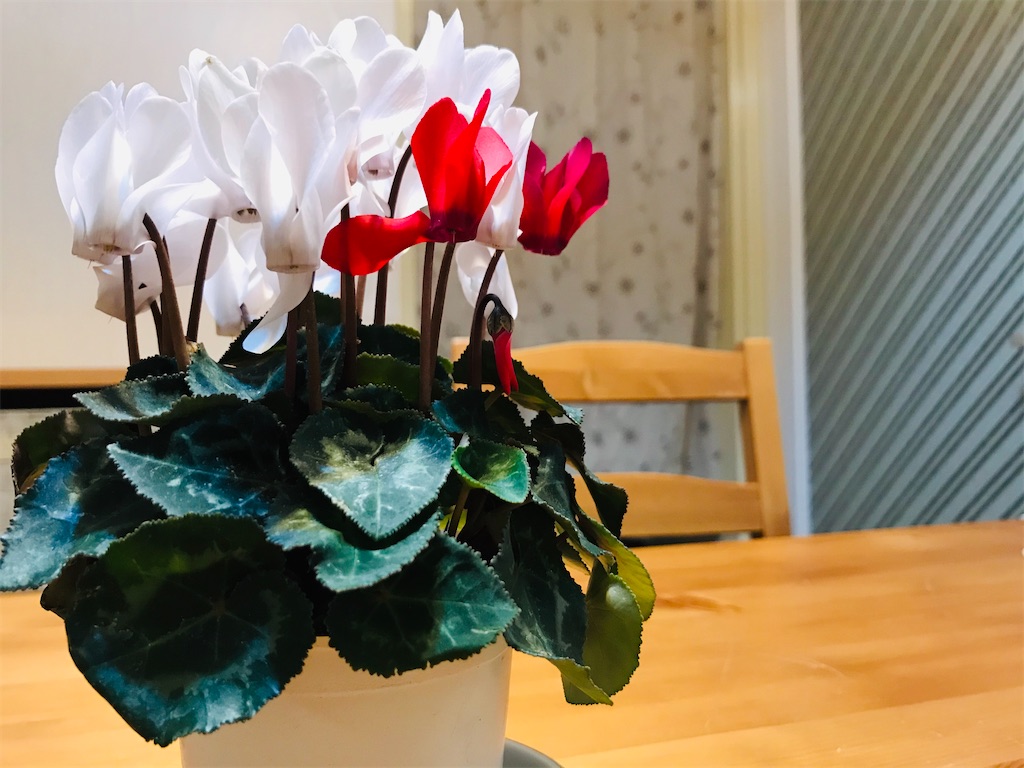 f:id:gintomochi:20191229213531j:plain f:id:gintomochi:20191229213531j:plain