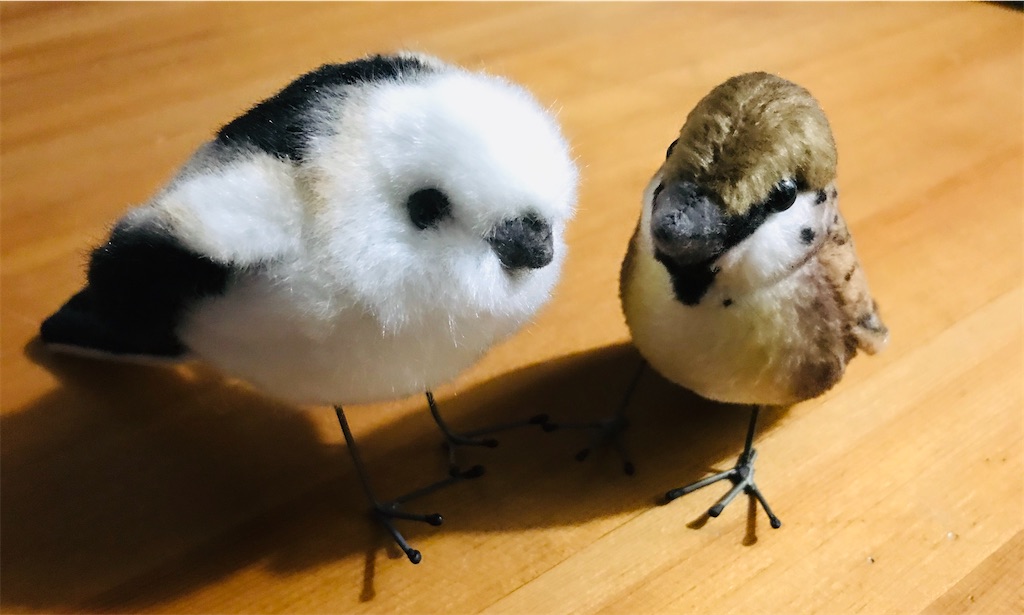f:id:gintomochi:20191231025754j:plain f:id:gintomochi:20191231025754j:plain
