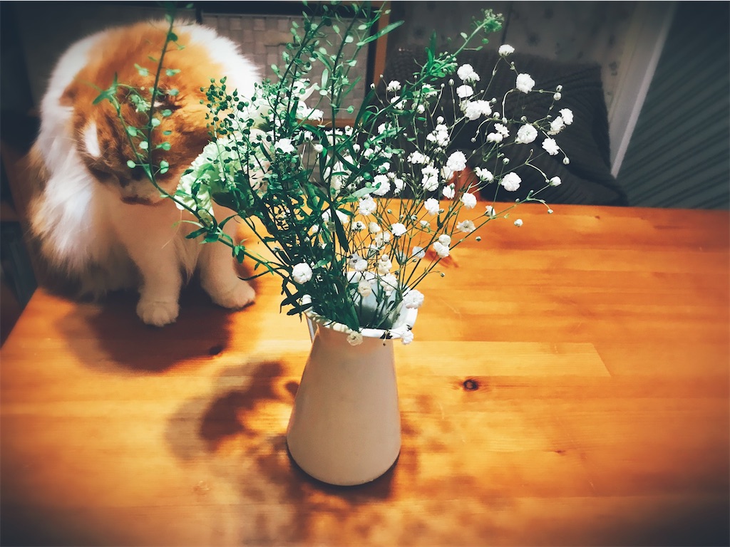 f:id:gintomochi:20200424145809j:plain f:id:gintomochi:20200424145809j:plain
