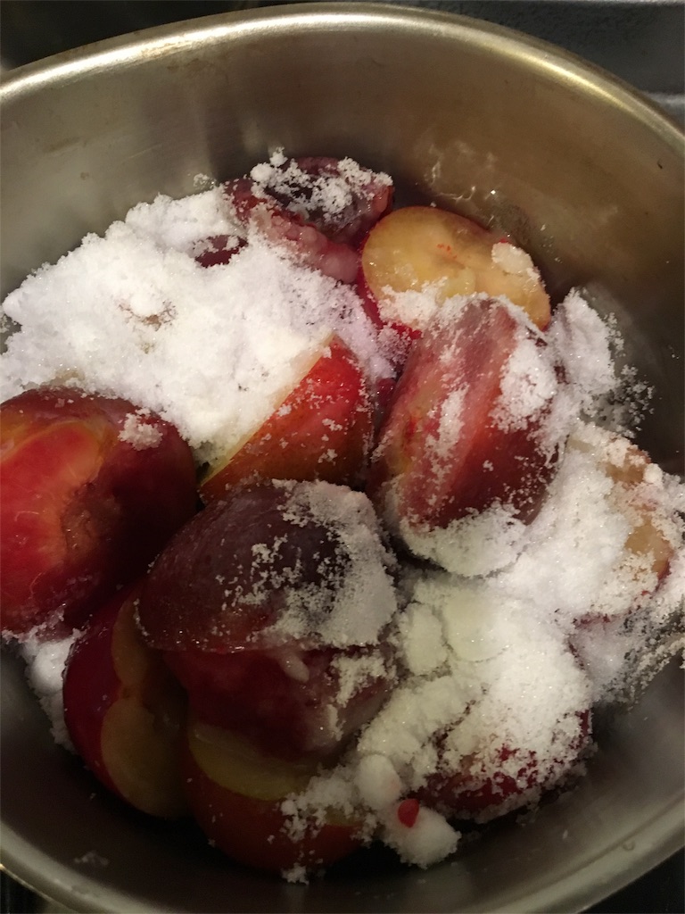 プラムソーダの季節 なにか新しいこと日記