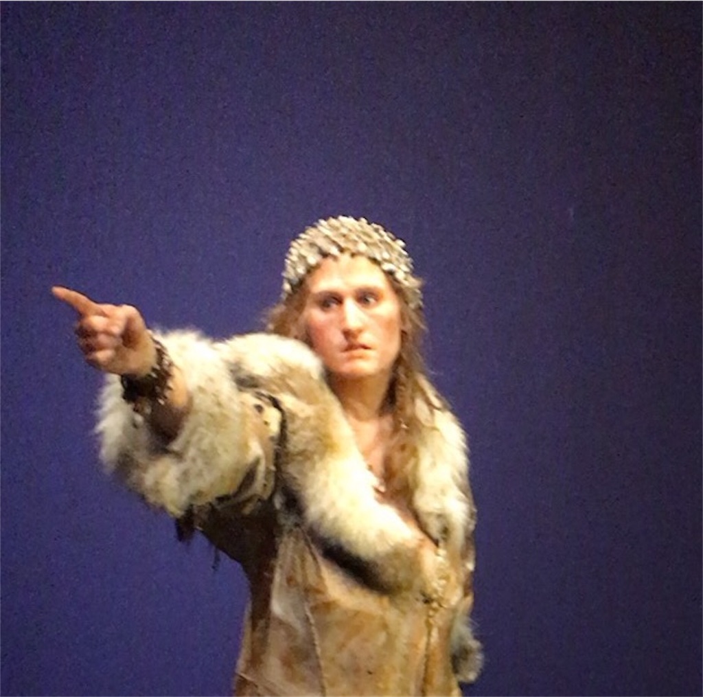 f:id:giovannna:20170111192840j:image