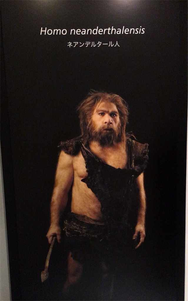 f:id:giovannna:20170111192957j:image