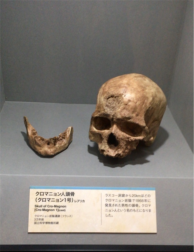 f:id:giovannna:20170111193059j:image