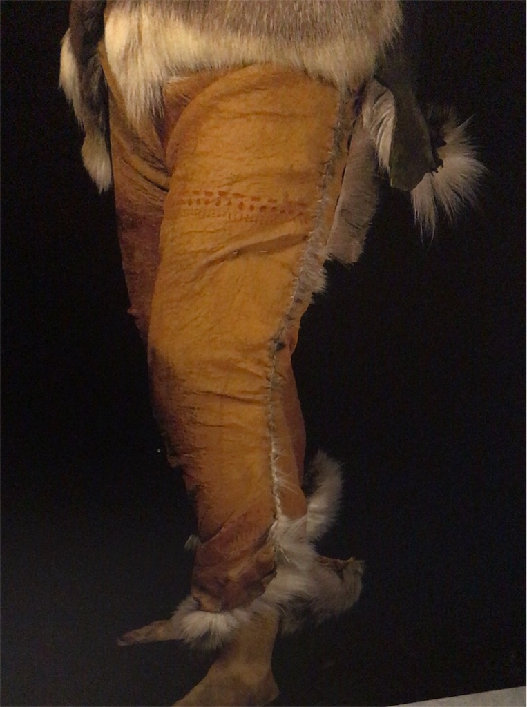 f:id:giovannna:20170111200030j:image