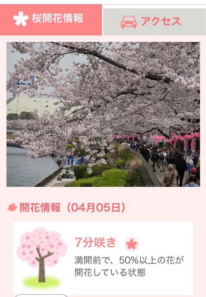 tenki.jp 開花情報 tenki.jp 開花情報