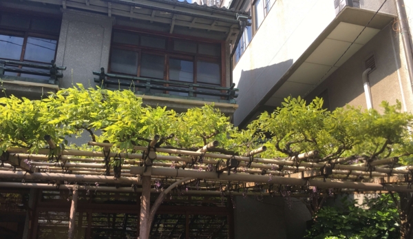 船橋屋本店 船橋屋本店