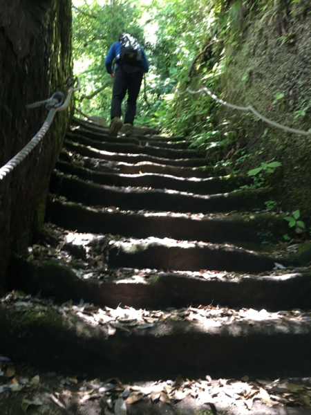 鋸山関東ふれあいの道コース