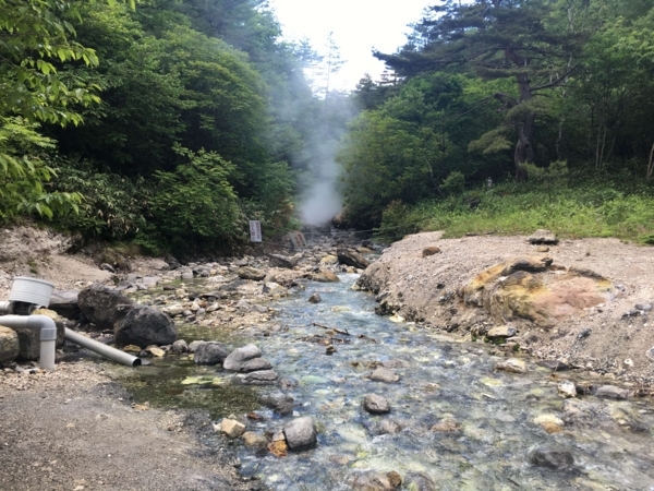 f:id:giovannna:20180618160109j:plain f:id:giovannna:20180618160109j:plain