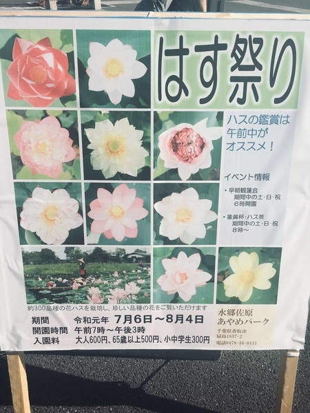 f:id:giovannna:20190623231557j:plain f:id:giovannna:20190623231557j:plain