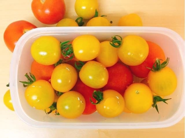 ミニトマト:冷蔵方法