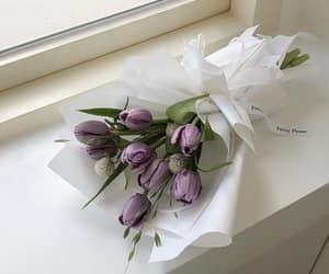 f:id:giraffe_aiueo2113:20210411012210j:image