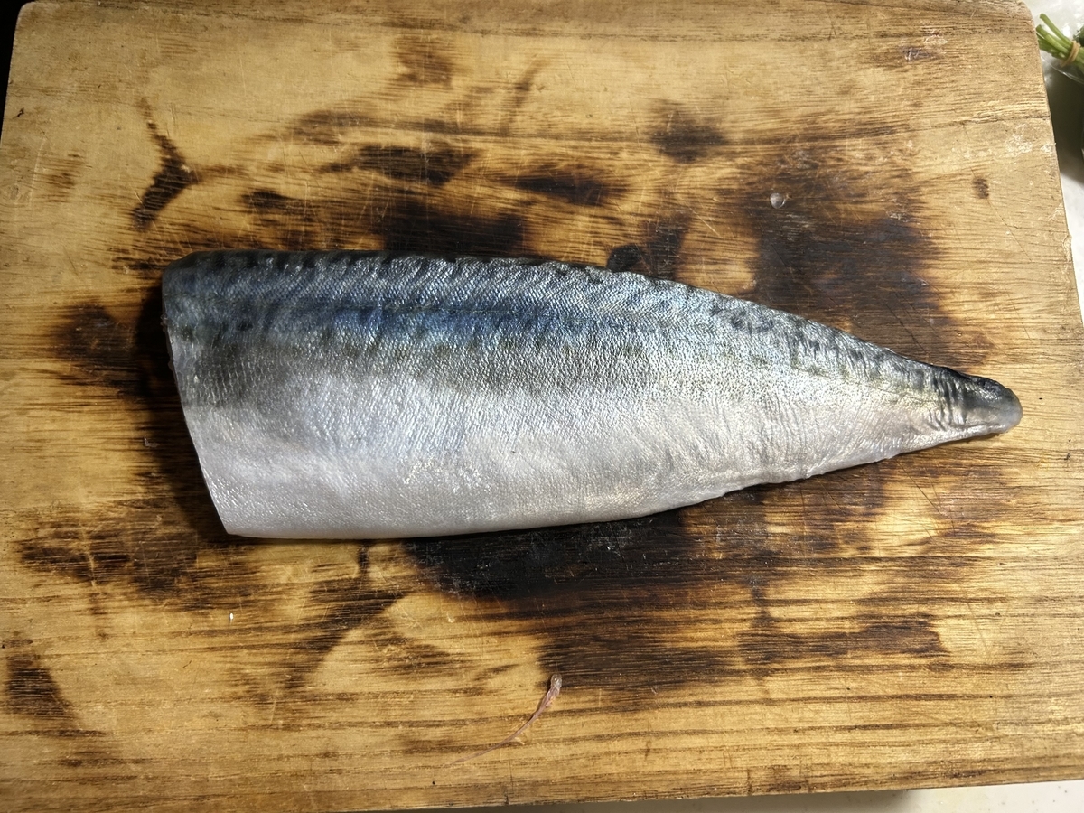 炙りしめ鯖の作り方｜釣りたて鯖で作る絶品レシピ【簡単】 - 釣り人 ジラフ
