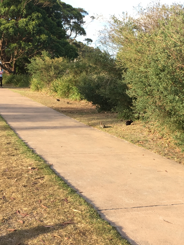 f:id:giriholiday30:20161202120040j:plain