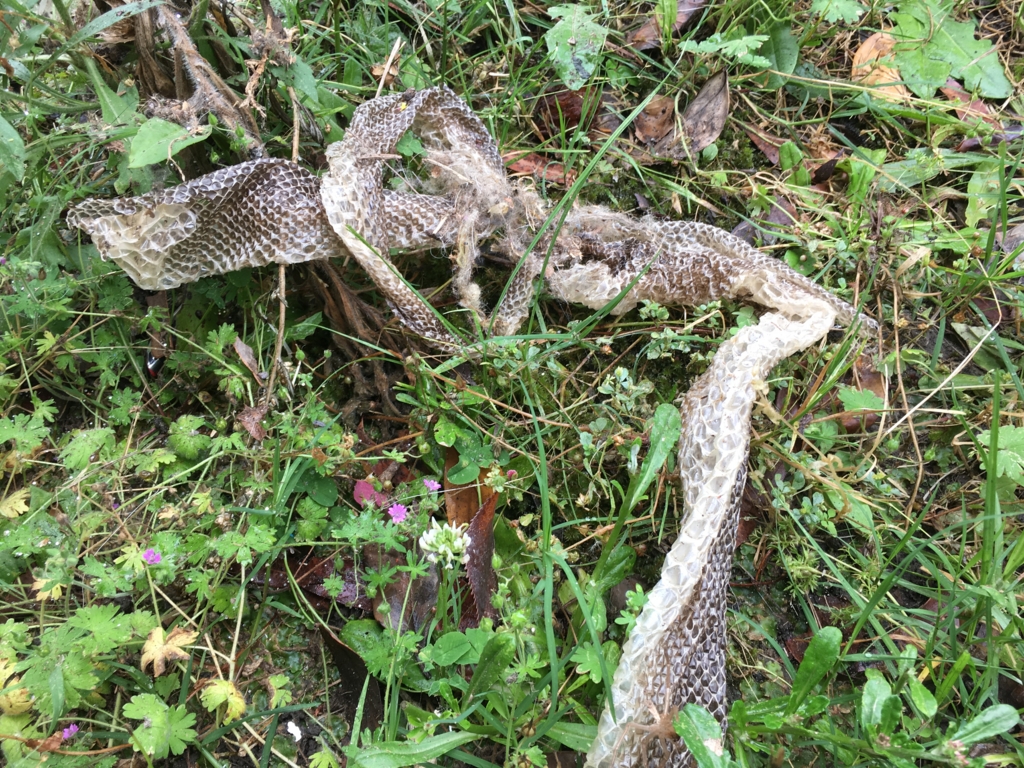 f:id:giriholiday30:20161206164932j:plain f:id:giriholiday30:20161206164932j:plain