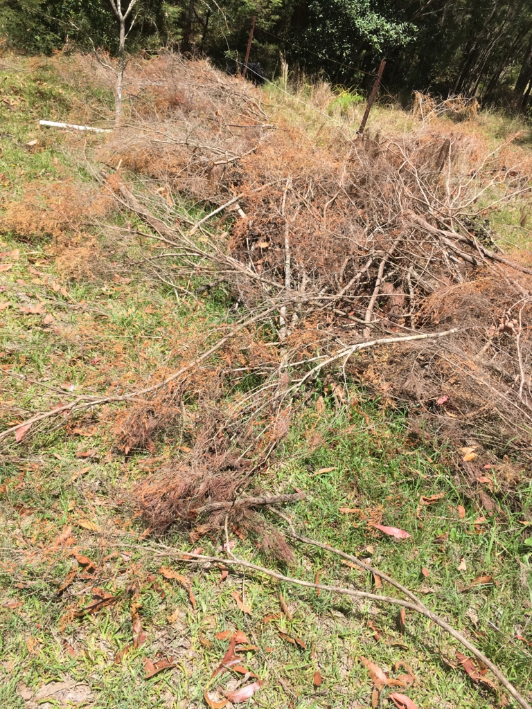 f:id:giriholiday30:20161207161945j:plain f:id:giriholiday30:20161207161945j:plain