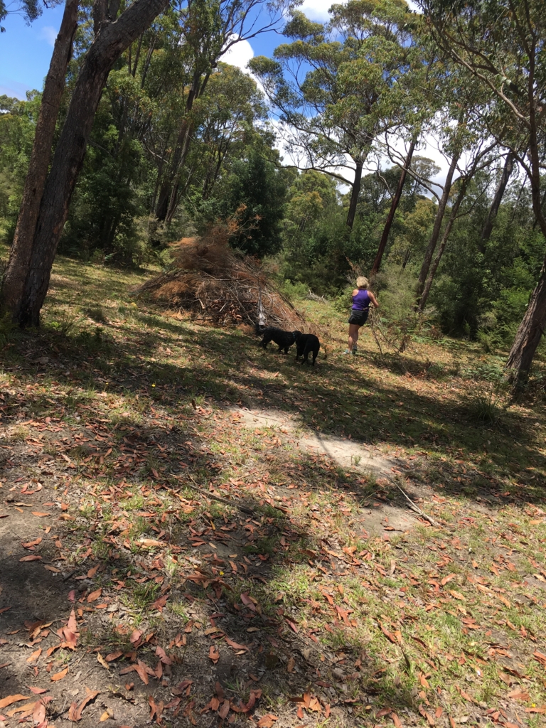 f:id:giriholiday30:20161207162359j:plain f:id:giriholiday30:20161207162359j:plain