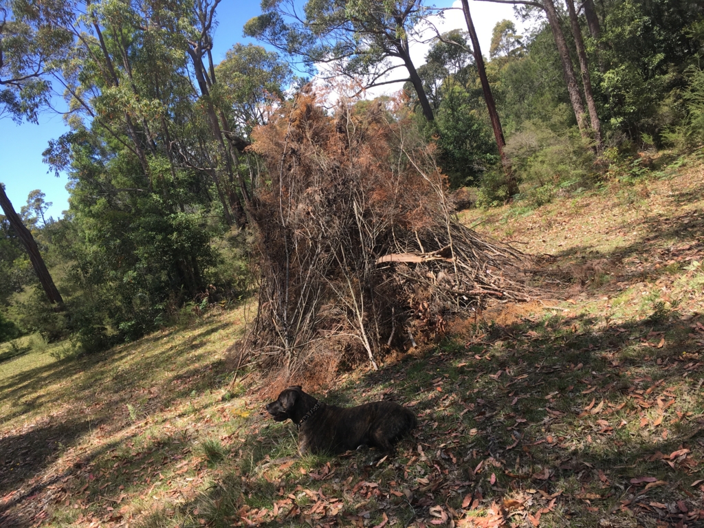 f:id:giriholiday30:20161207162802j:plain f:id:giriholiday30:20161207162802j:plain