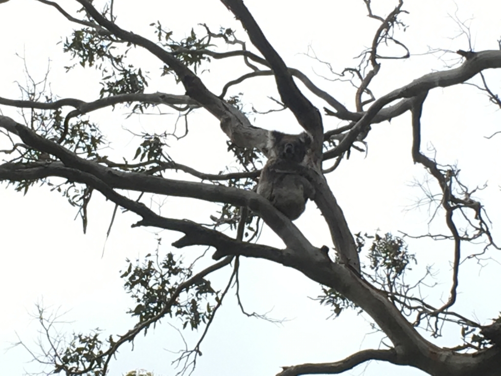 f:id:giriholiday30:20161208155439j:plain f:id:giriholiday30:20161208155439j:plain