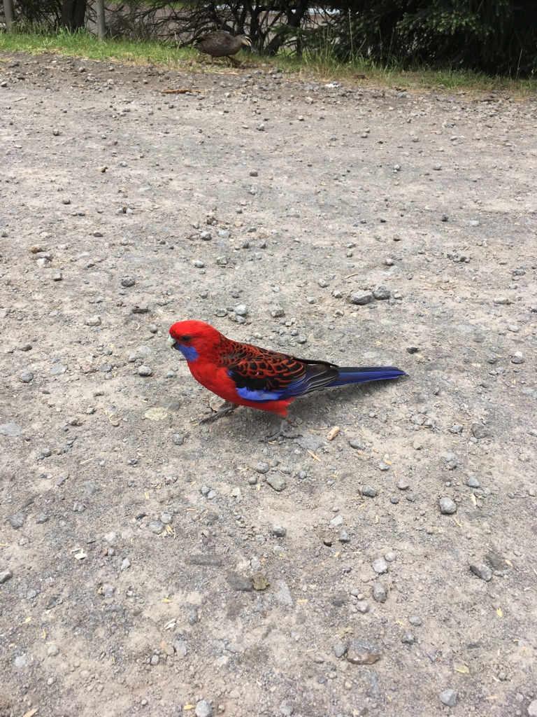 f:id:giriholiday30:20161208161949j:plain f:id:giriholiday30:20161208161949j:plain