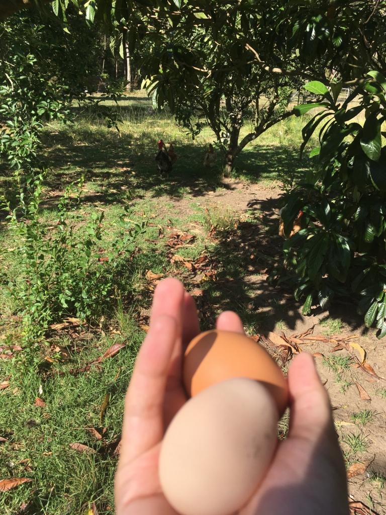 f:id:giriholiday30:20161212163921j:plain f:id:giriholiday30:20161212163921j:plain