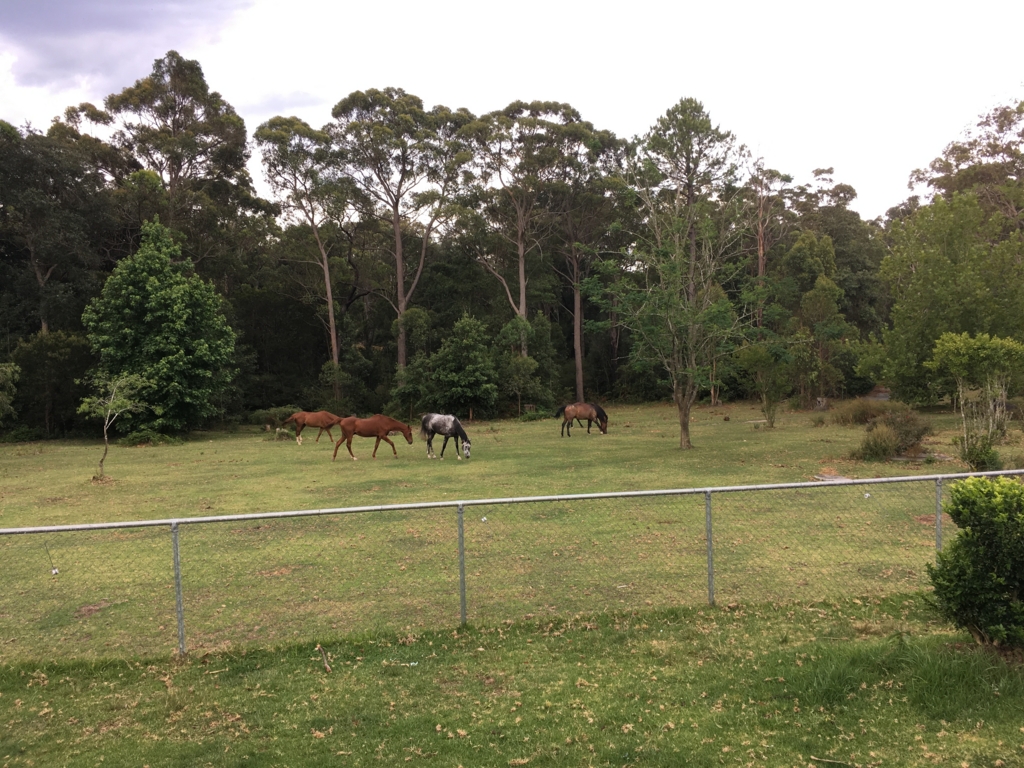 f:id:giriholiday30:20161213163737j:plain f:id:giriholiday30:20161213163737j:plain