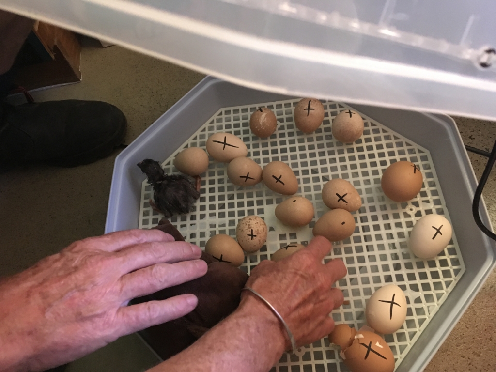 f:id:giriholiday30:20161213164133j:plain f:id:giriholiday30:20161213164133j:plain