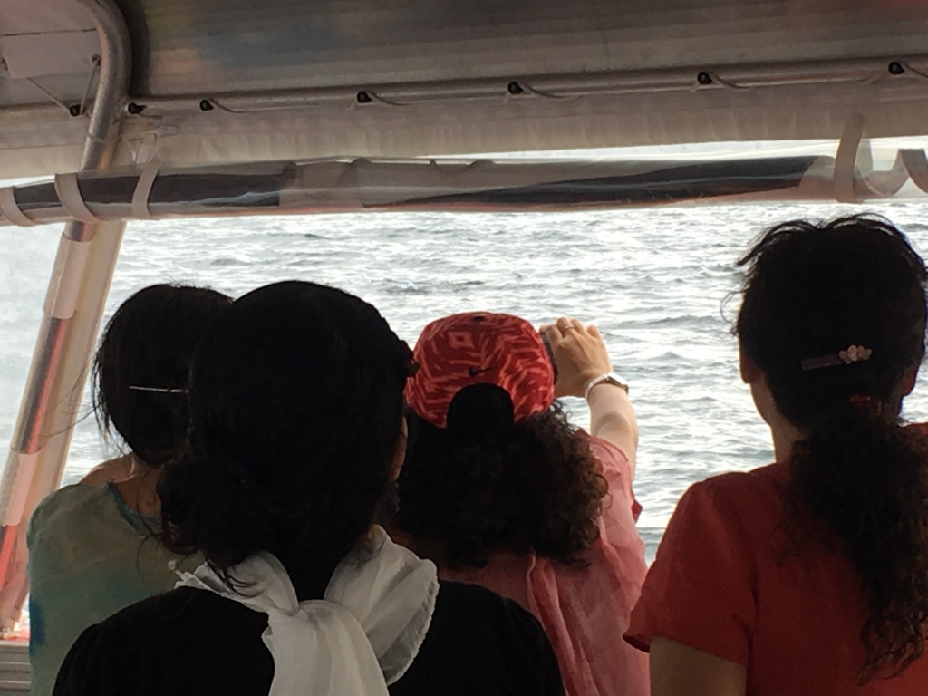 f:id:giriholiday30:20161214184124j:plain f:id:giriholiday30:20161214184124j:plain