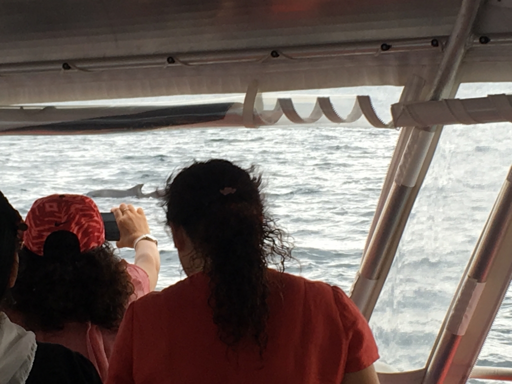 f:id:giriholiday30:20161214184321j:plain f:id:giriholiday30:20161214184321j:plain