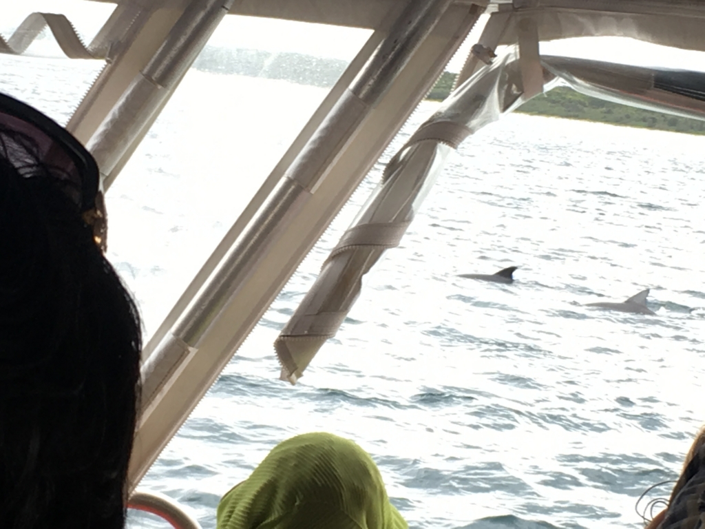 f:id:giriholiday30:20161214184649j:plain f:id:giriholiday30:20161214184649j:plain