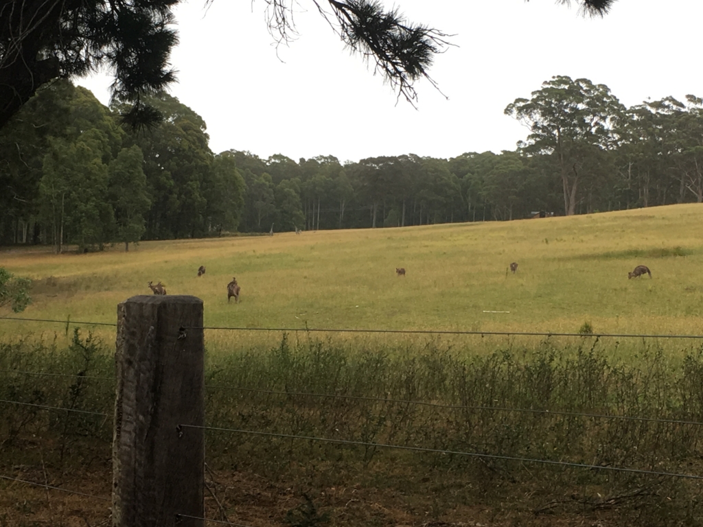 f:id:giriholiday30:20161214191255j:plain f:id:giriholiday30:20161214191255j:plain