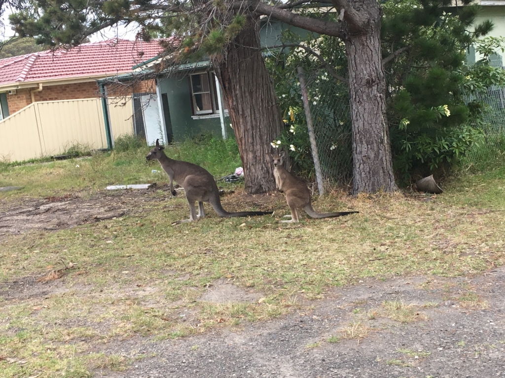 f:id:giriholiday30:20161214191749j:plain f:id:giriholiday30:20161214191749j:plain