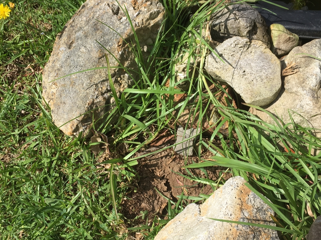 f:id:giriholiday30:20161223165936j:plain